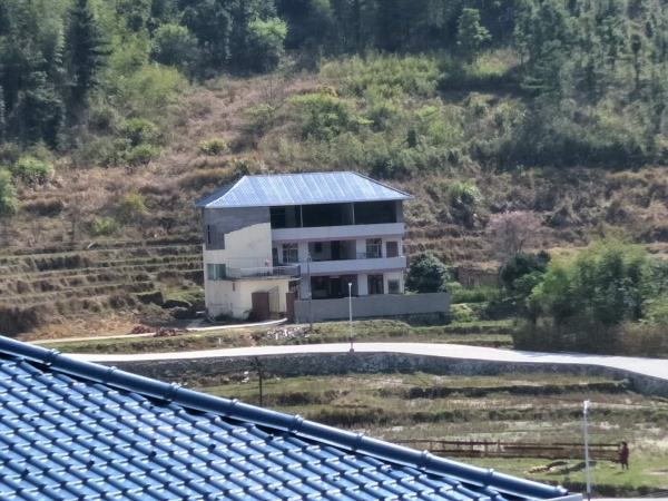 广东树脂瓦