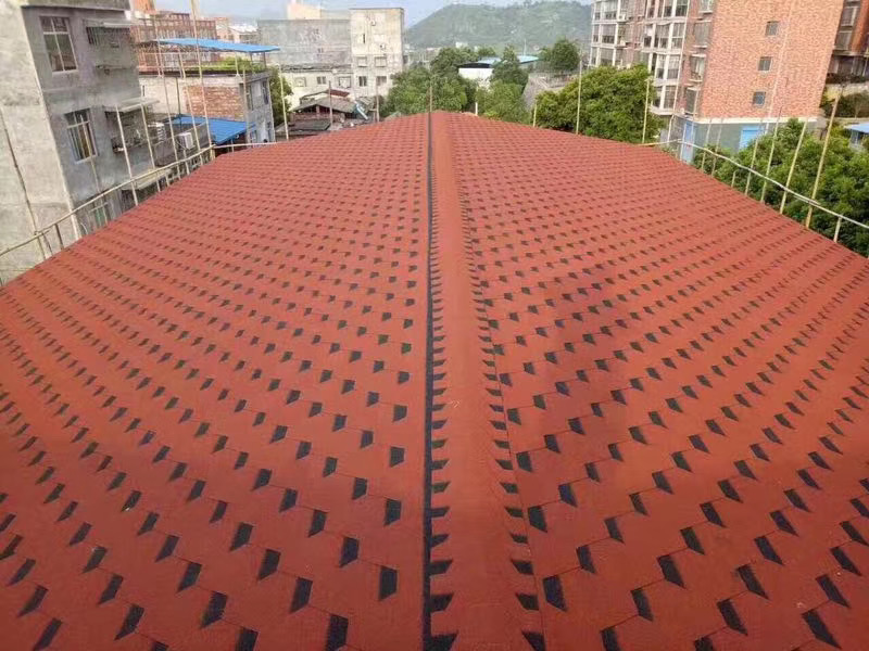广东沥青瓦案例