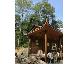 广东树脂瓦
